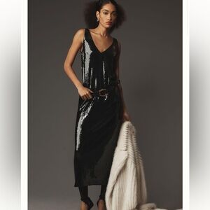 Anthropologie Sophie Rue Sequin Dress